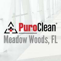 PuroClean of Meadow Woods Logo