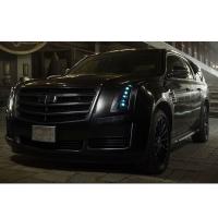 Business Limo Houston Logo