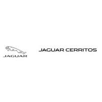 Envision Jaguar Logo