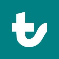 Twibi Digital Marketing Agency logo