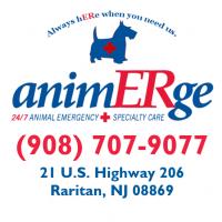 AnimERge Logo