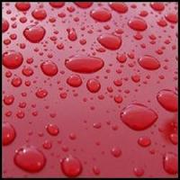 Northwest Auto Paint & Supply Logo