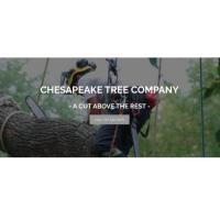 Chesapeake Tree Company Logo