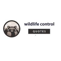 Nightjar Wildlife Control Experts Logo