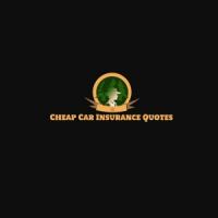 Low-Cost Car Insurance Virginia Beach logo