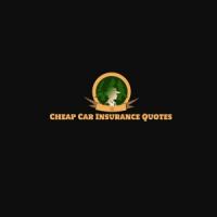 Low-Cost Car Insurance Virginia Beach Logo
