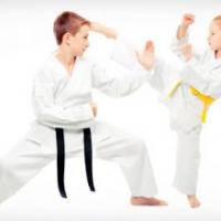 American Academy of Self Defense Logo