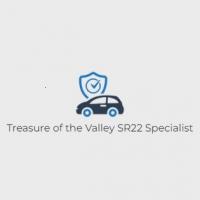 Treasure of the Valley SR22 Specialist Logo