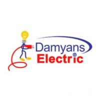 Damyans Electric Inc. Logo