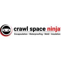 Crawl Space Ninja of Delaware logo