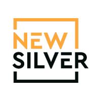 New Silver Logo