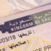 Intl Visa Logo
