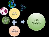 Creative Biogene Logo