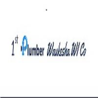 1st Plumber Waukesha WI Co logo