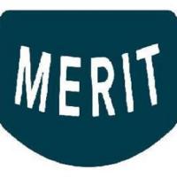 Merit Auto Spa Detailing Services Logo