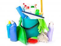 The Cleaning Fairy Logo