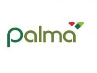 Palma Financial Services Logo