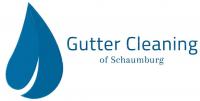 Gutter Cleaning of Schaumburg IL Logo