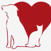 Animal Emergency Clinic of Conroe Logo