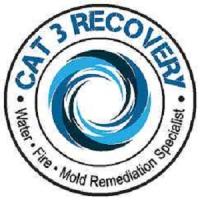CAT 3 Recovery - Cape Coral Logo