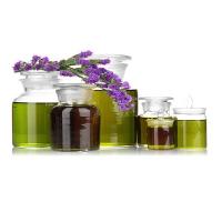 Natural Aroma Chemicals Supplier - WinTrust Flavours Co.,Ltd Logo
