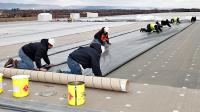 Nex Level Roofing Logo