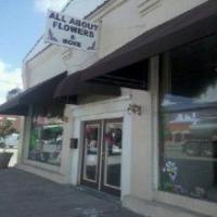 All About Flowers & More Logo