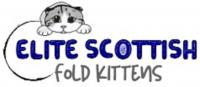 Elite Scottish Fold Kittens TX Logo