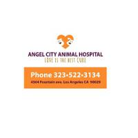 Angel City Animal Hospital logo