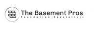 The Basement Pros Logo