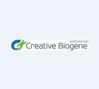 Creative Biogene Logo