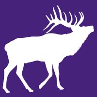 Colorado Web Impressions Logo