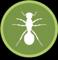 On The Go Pest Services in Washington Logo