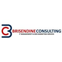 Brisendine Consulting Logo