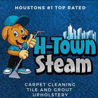 H-Town Steam Logo