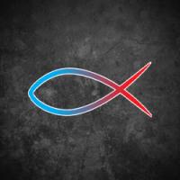 BIG FISH AC & HEATING, LLC. Logo