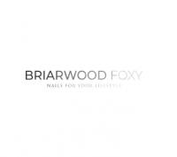 Briarwood Foxy Nail Logo