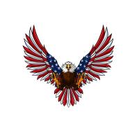 Made In The USA Store Logo