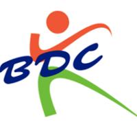 Bollywood Dance Connection Logo