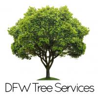 DFW Tree Services logo