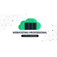 Web Hosting Prof Logo