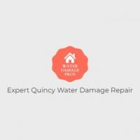 Expert Quincy Water Damage Repair Logo