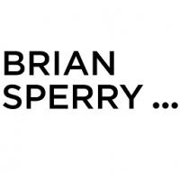 Brian Sperry Real Estate Group Logo