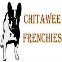 Chitawee French Bulldogs Logo
