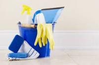 Home Cleaning Service Logo