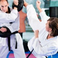 Troy Dorsey's Karate & Fitness - Kickboxing Logo
