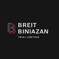 Breit Biniazan Logo