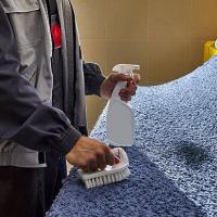 Quality Plus Carpet Clean Logo