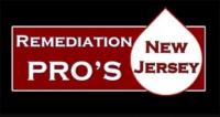 Remediation Pros Logo