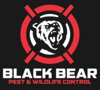Black Bear Pest and Wildlife Control Logo